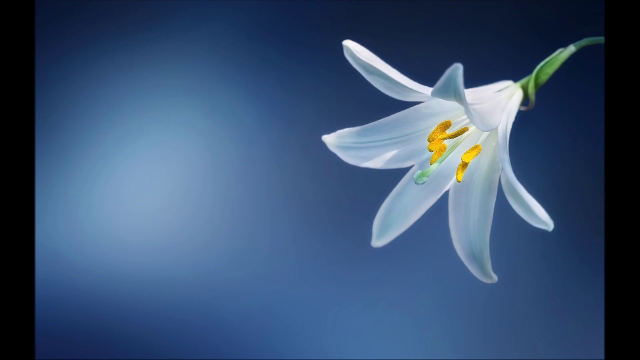 Affirmation Series: Grief - a series of Bible verses read in a whisper