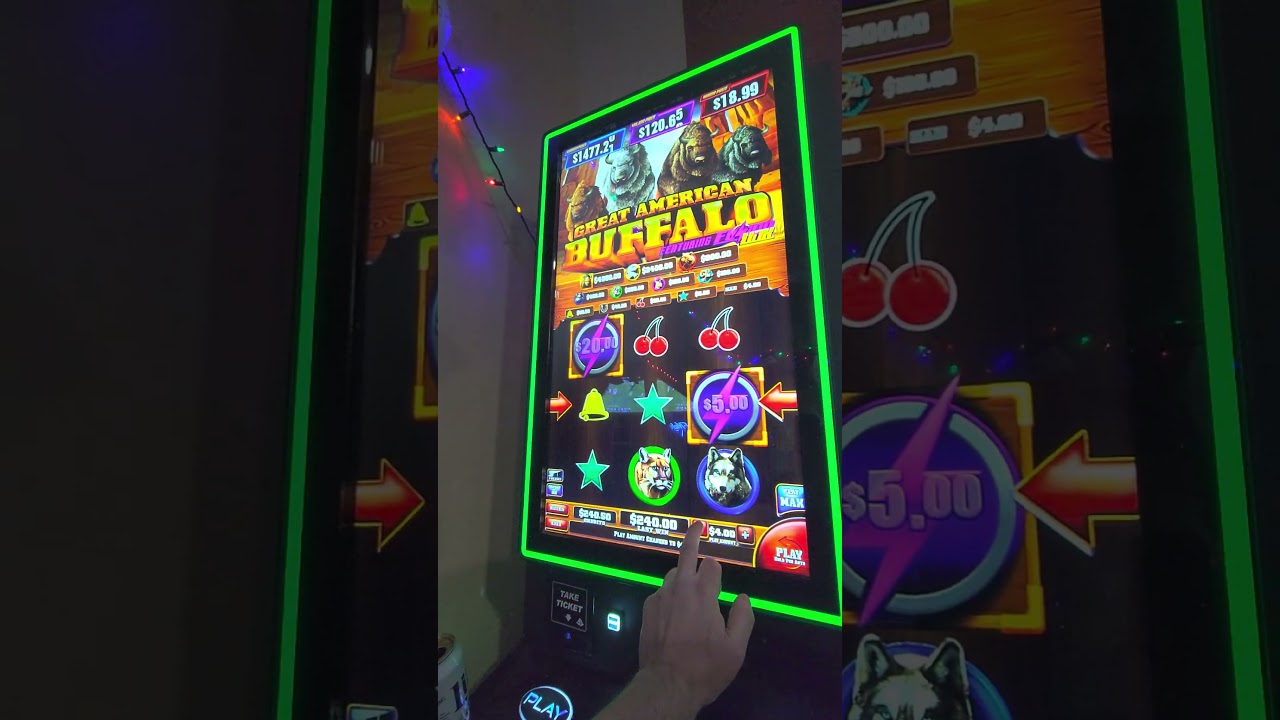 Бонусная игра Buffalo Max Bet $5, огромный выигрыш, игровой автомат PA Skill.