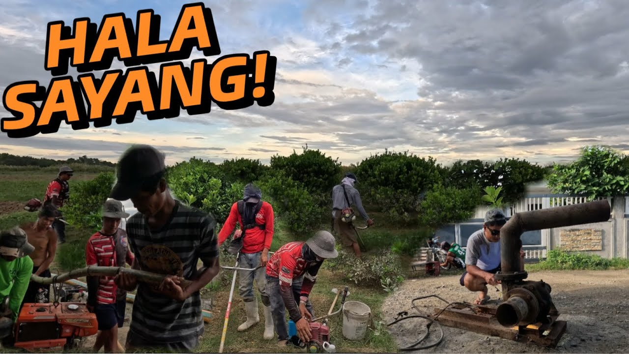 NASALISIHAN KAMI HABANG BUSY LAHAT