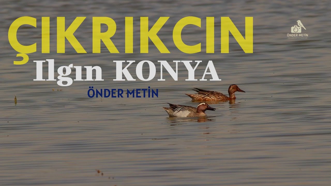 ÇIKRIKCIN-ILGIN ÇAVUŞCU GÖLÜ-ÖNDER METİN