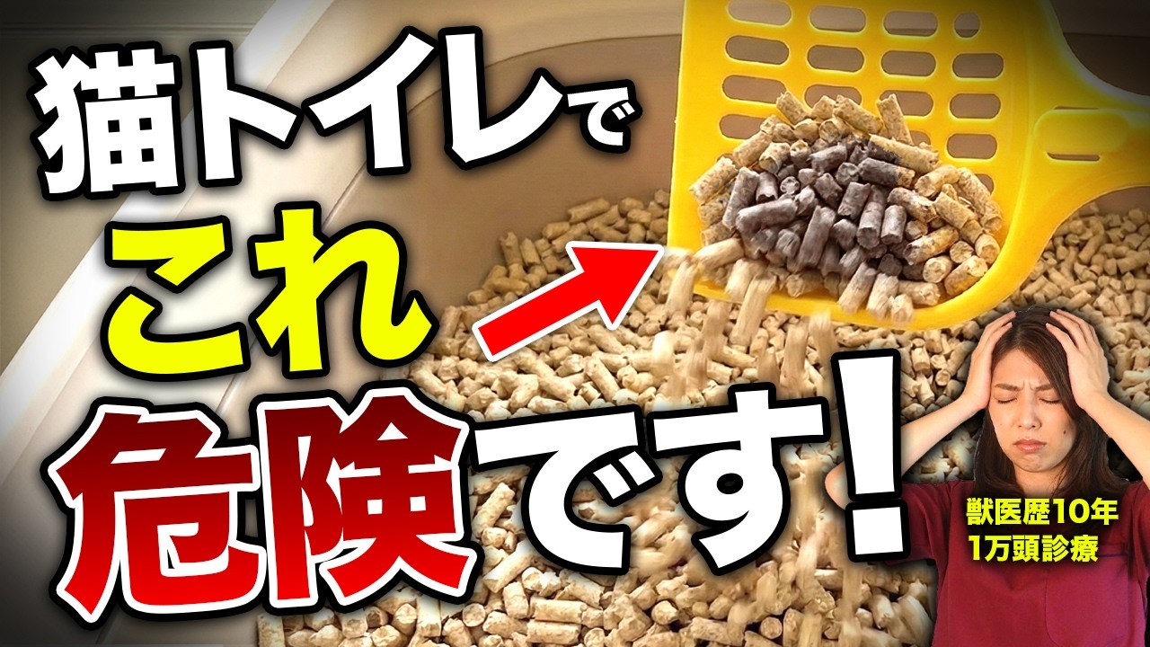 知らないと手遅れに…猫の尿に現れる命のサイン