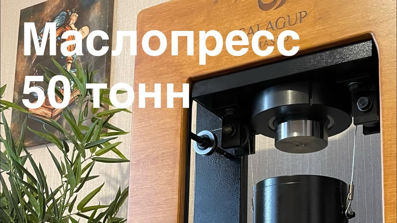 Маслопресс 50 тонн Базовый комплект SALAGUP MASLO