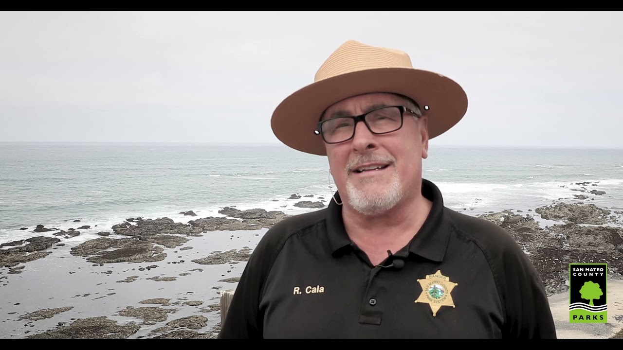 Fitzgerald Marine Reserve Reopens Monday, May 3