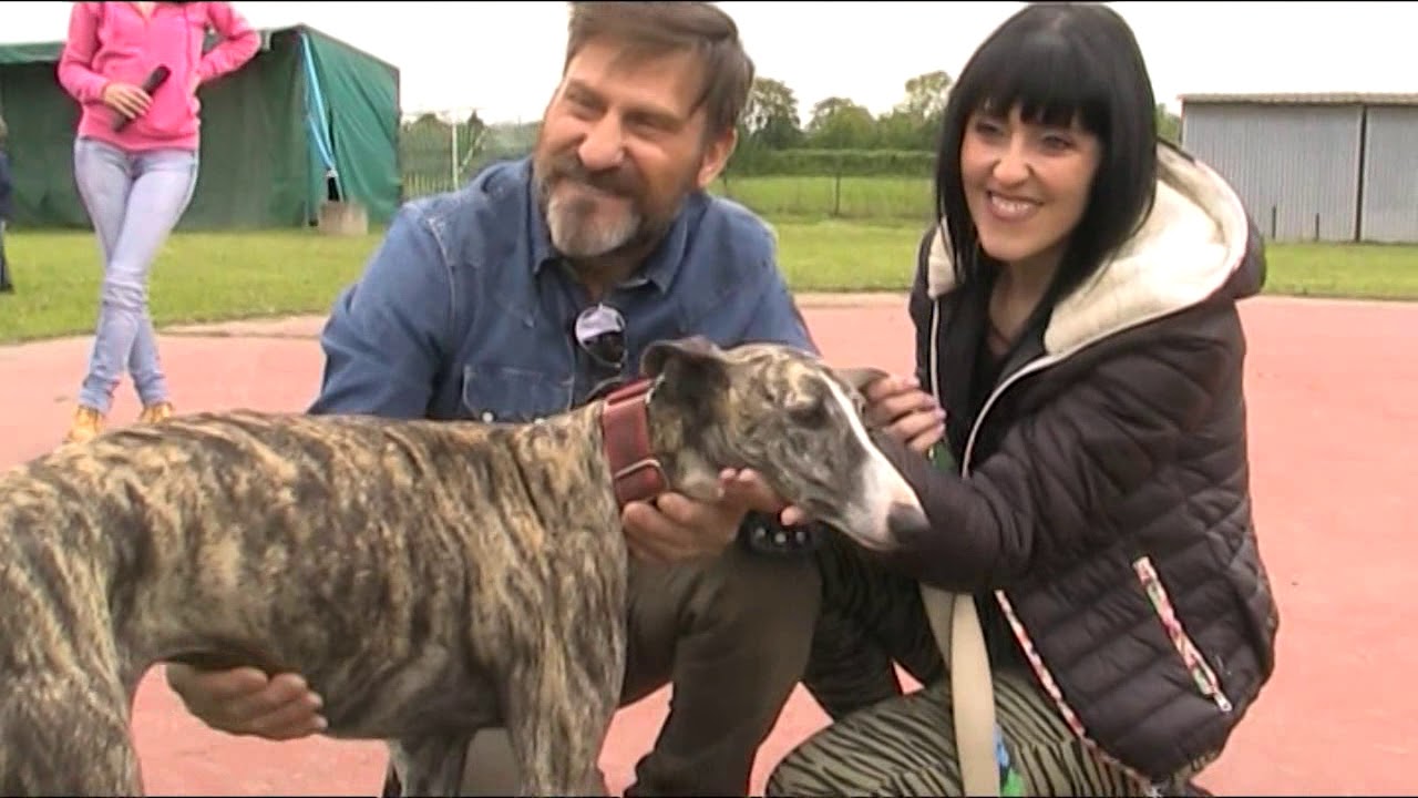 Progetto Galgo Onlus Arrivi 18 maggio 2019