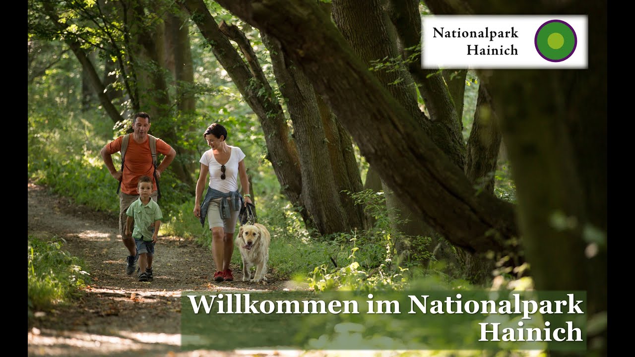 Willkommen im Nationalpark Hainich
