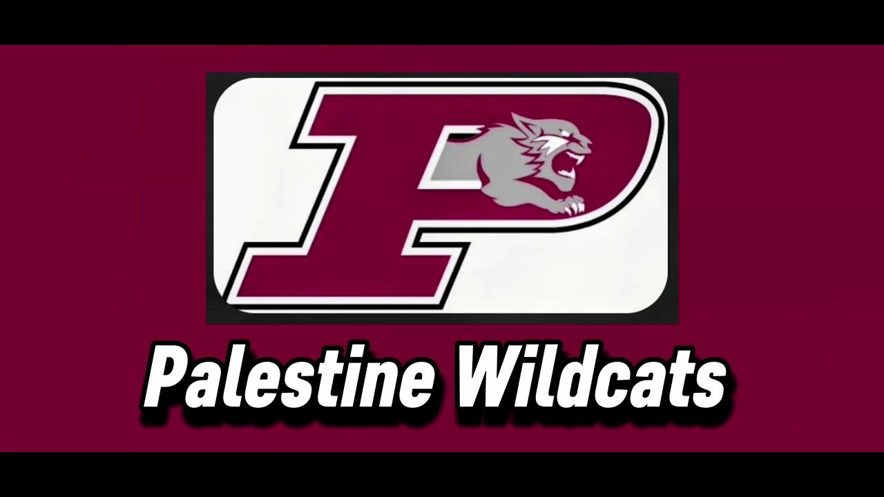 Palestine Wildcats fight song 4A 