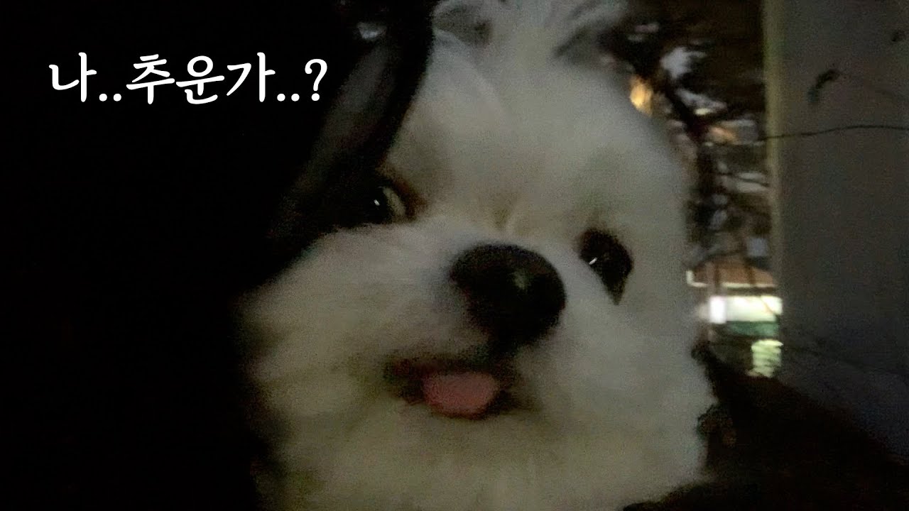 야 누나가 한파주의보라고 말했지