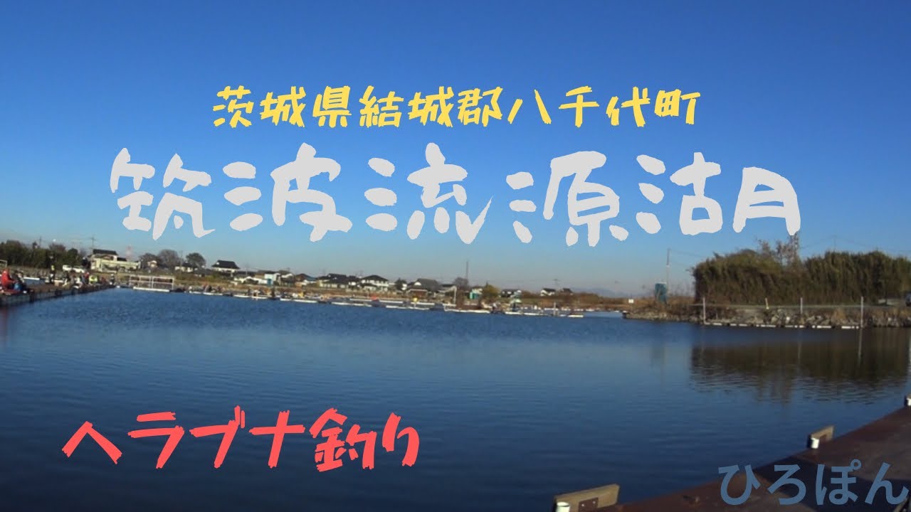 ヘラブナ釣り　筑波流源湖　茨城県結城郡八千代町　大型べら　管理釣り場　#へらぶな釣り　2023年12月3日　釣行