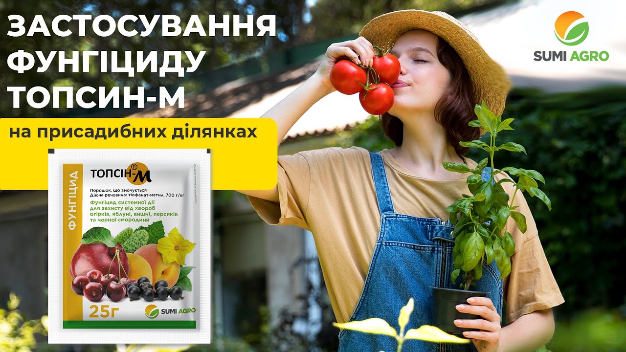 Застосування Топсін-М на присадибних ділянках для контролю сірої гнилі та борошнистою роси!