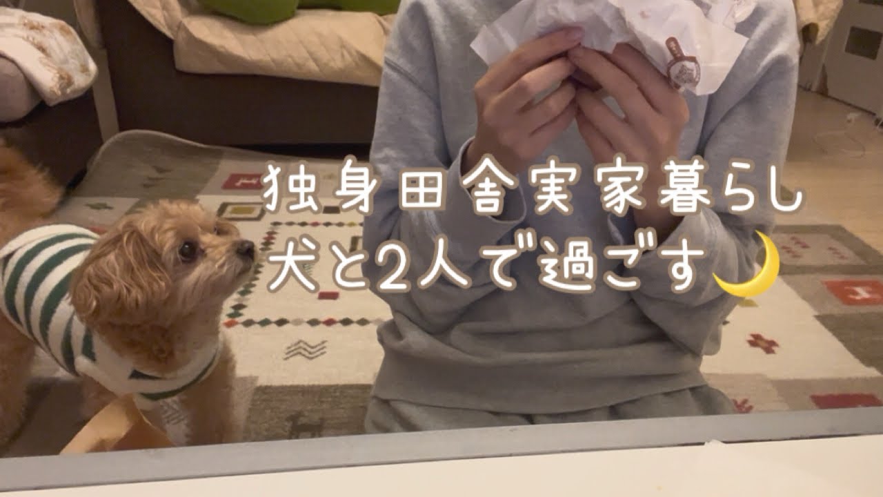 田舎実家暮らし | マックの新作N.Y.バーガーズ食べてみた🍔犬と過ごす夜🌙