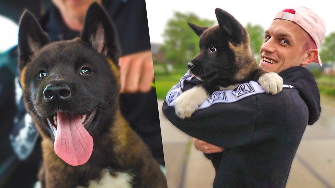 MIJN BROER HEEFT EEN PUPPY GEKOCHT!! 😍#2454
