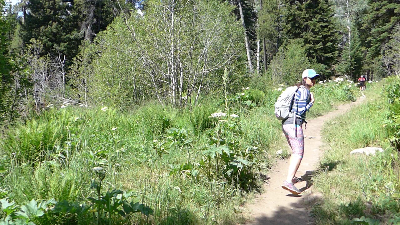 Death Canyon Hike Jackson Hole