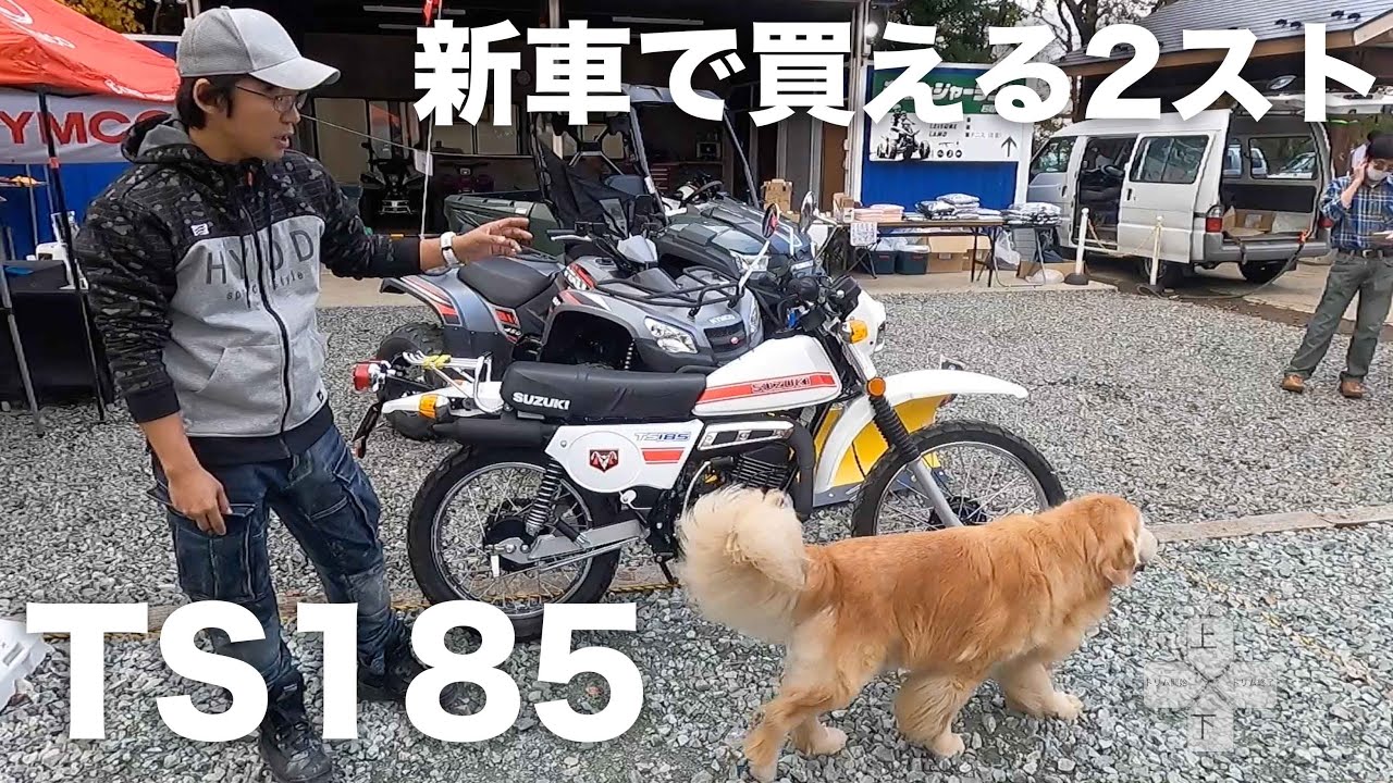 新車！TS185参考動画「今唯一新車で手に入る2ストスクランブラー」