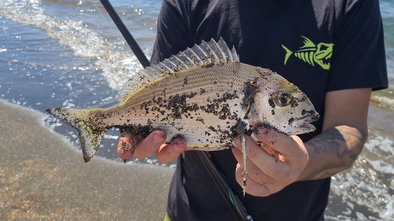 ABC Del Surfcasting - A Caccia di ORATE 🐟🎣 Ep.3 Season 2023