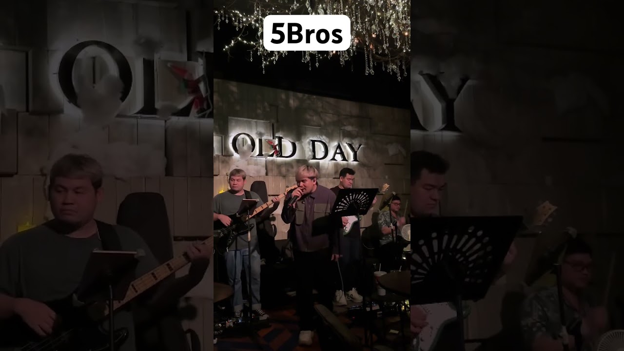 ดูดี - polycat Cover by 5Bros 🥹         #5Bros #cover #นักดนตรี #5พี่น้อง #ดนตรีสด  #นักดนตรีevent