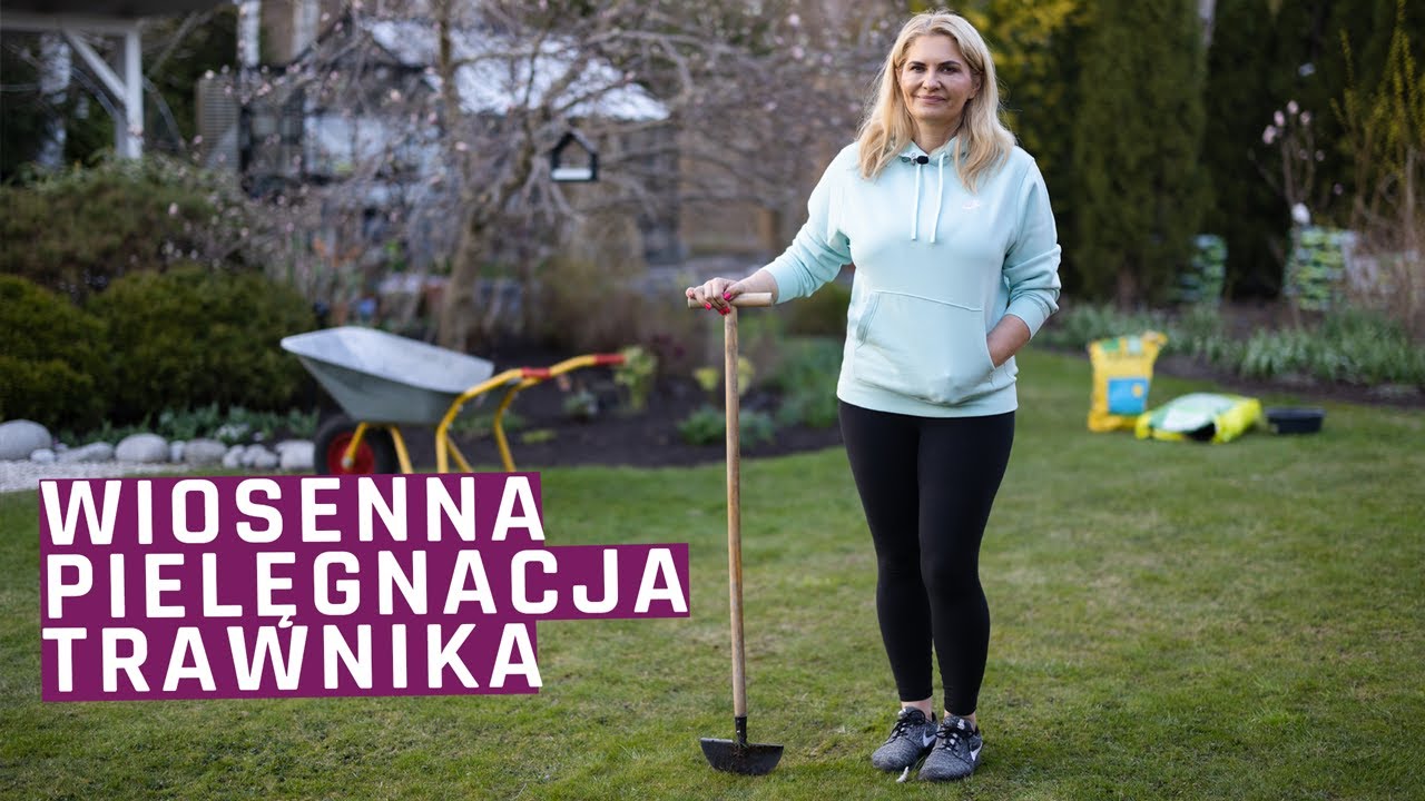 Wiosenna pielęgnacja trawnika - wertykulacja , nawożenie , brzegi