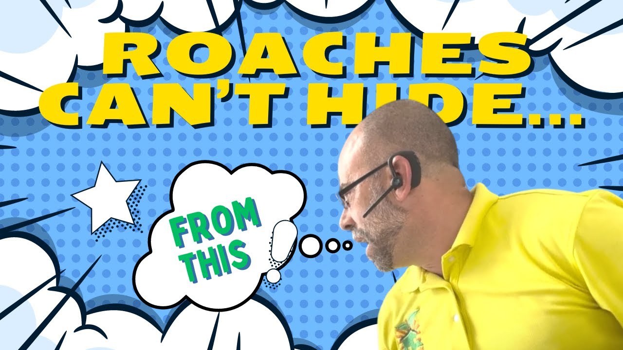 Week 4 of Roach Infestation Control: Progress and Persistence