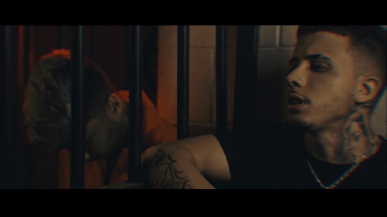 Greg Ferreira - Eu falei pros meus mano (Official Video)