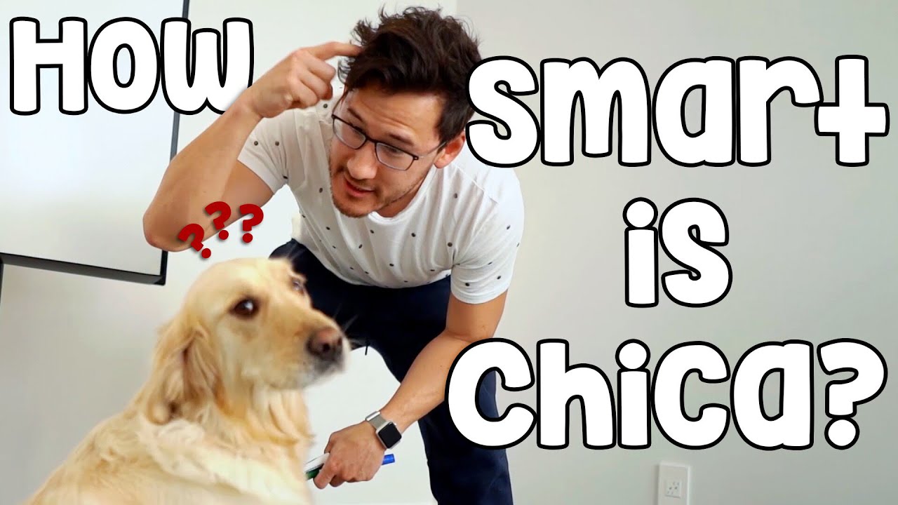 HOW SMART IS CHICA??