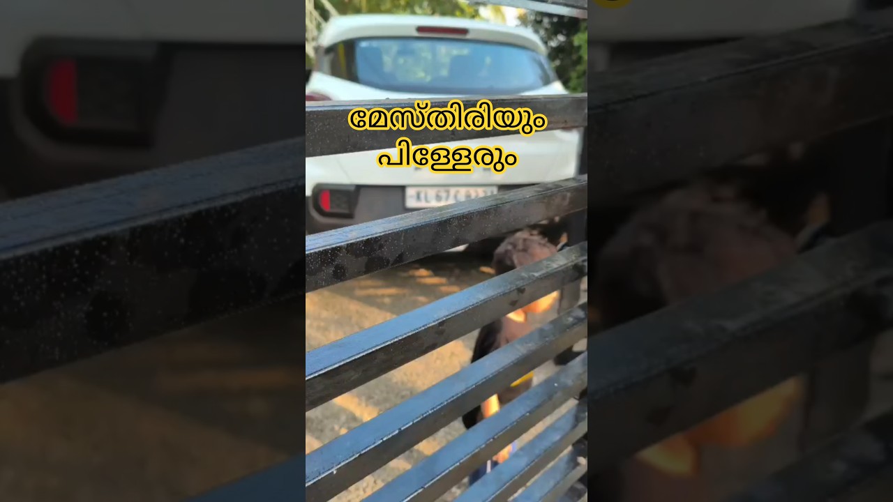 മതില് പണി