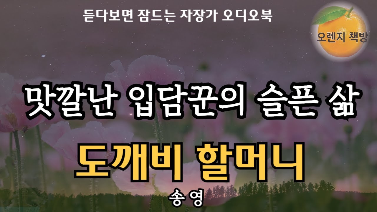 재미난 입담꾼 할머니의 이야기에 웃다보니 어느새 역사의 그늘에 희생된이들이 보인다 / 도깨비할머니