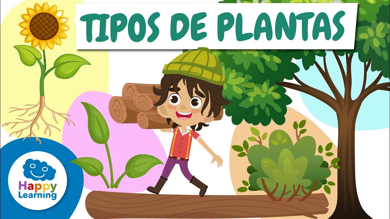 🌱🌸 TIPOS DE PLANTAS: ¿Cuántas conoces? | Vídeos Educativos para Niños | @Happy Learning Español