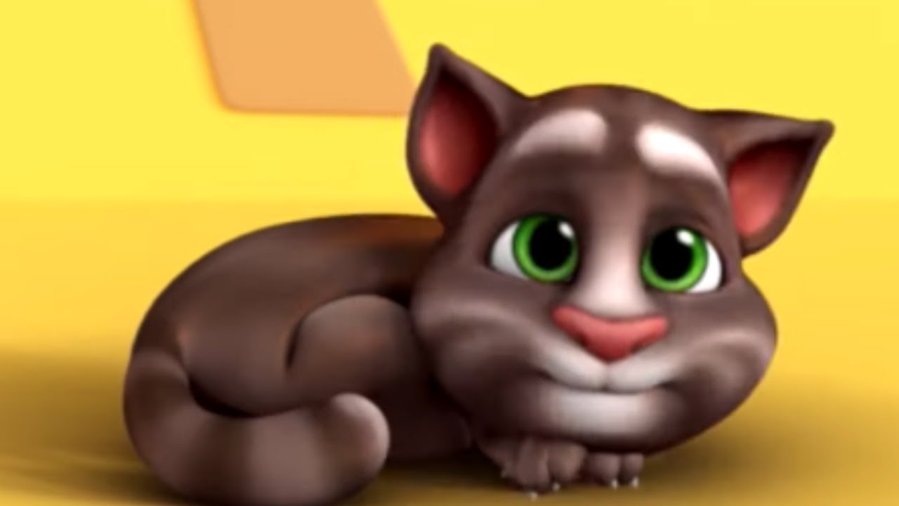 Cubos | Cortos de Talking Tom | Dibujos animados | WildBrain Niños