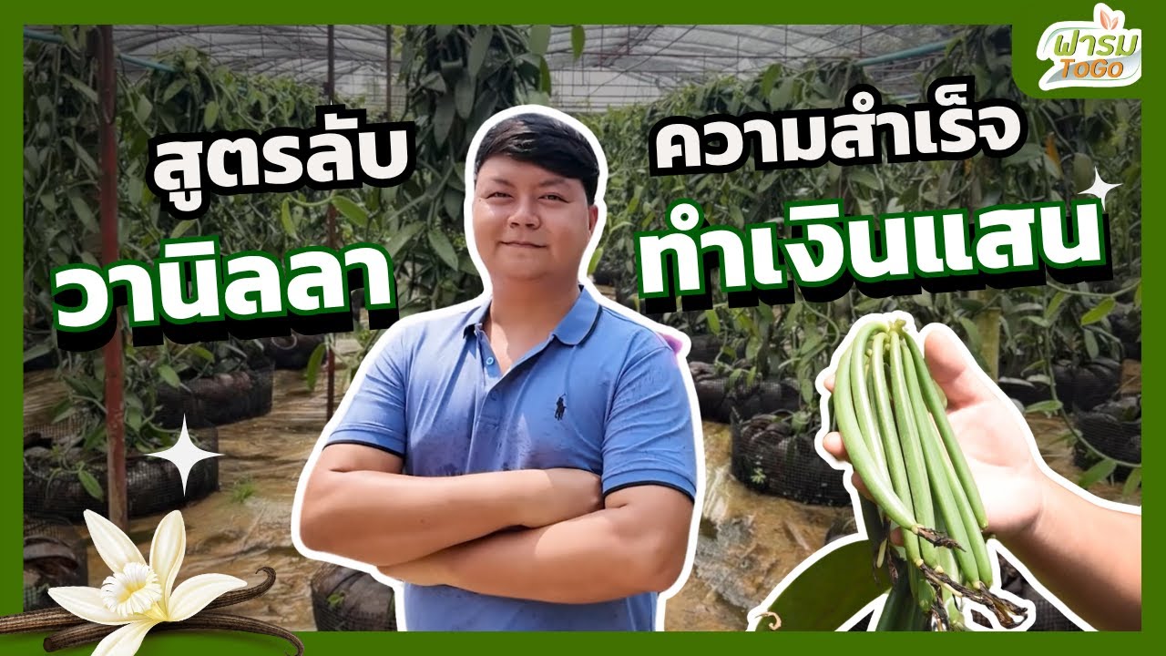 วานิลาทำเงินแสน กำไรทุกปี! เปิดสูตรลับความสำเร็จแบบไม่มีกั๊ก | Farm To Go