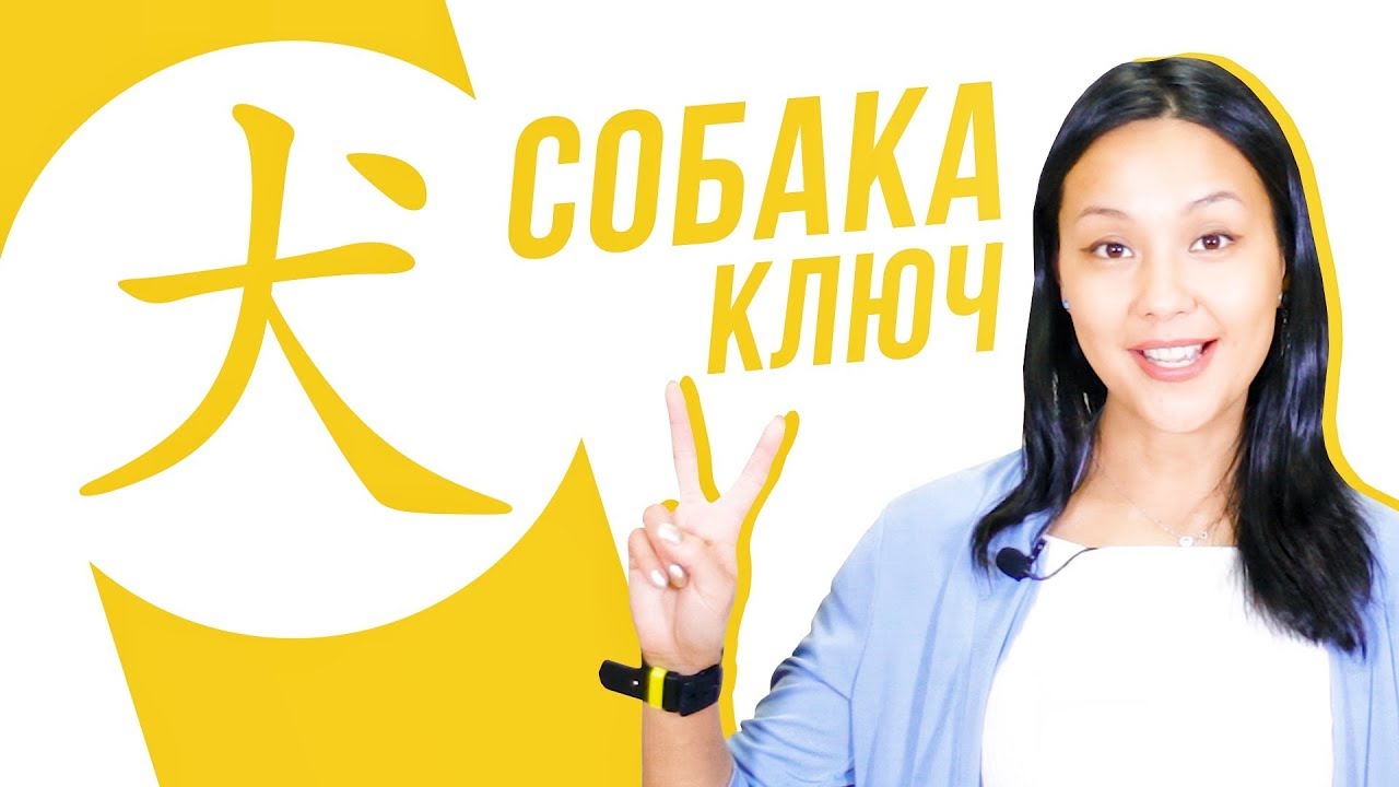 Ключевые иероглифы #30: 犬 (собака) 🐶 УЧУ КИТАЙСКИЙ ЯЗЫК ✌ Школа Динары Мин ✌