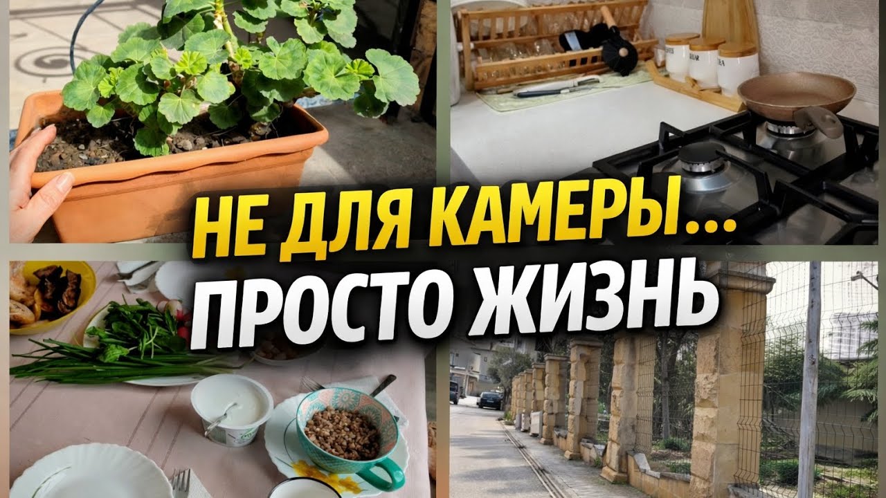 Живые разговоры на кухне #реальнаяжизнь#дом#уют#ютубдляженщин 