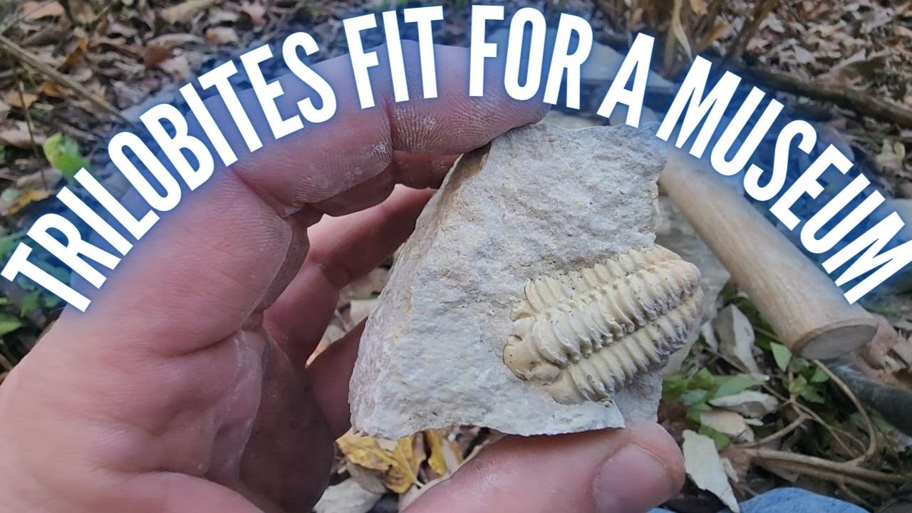 Two Days of Trilobite Hunting