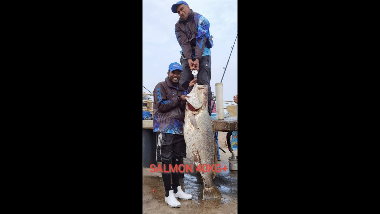 Margate pier, Steven hooks a monster Salmon
