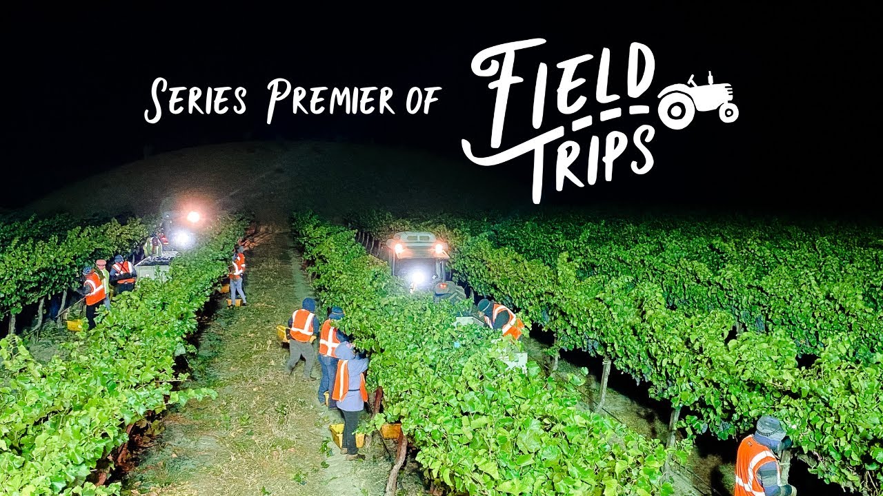 HAND PICKING grapes with Pressley Vineyards - FIELD TRIPS Episode 1