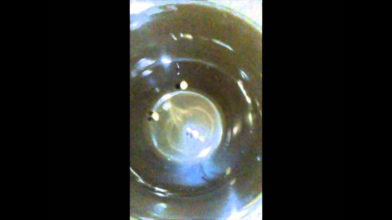 germination white cookies & crown royal   crop king seeds
