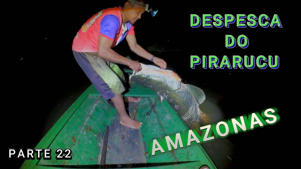 ACAMPADO NO LAGO DO ANZOL -  DESPESCA DO PIRARUCU - V&Iacute;DEO 22