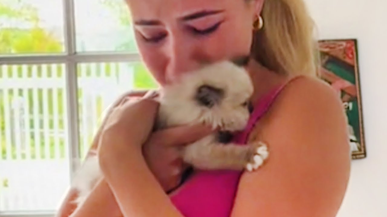 When a kitten is the best surprise you can get! 😻 Kitten Surprise