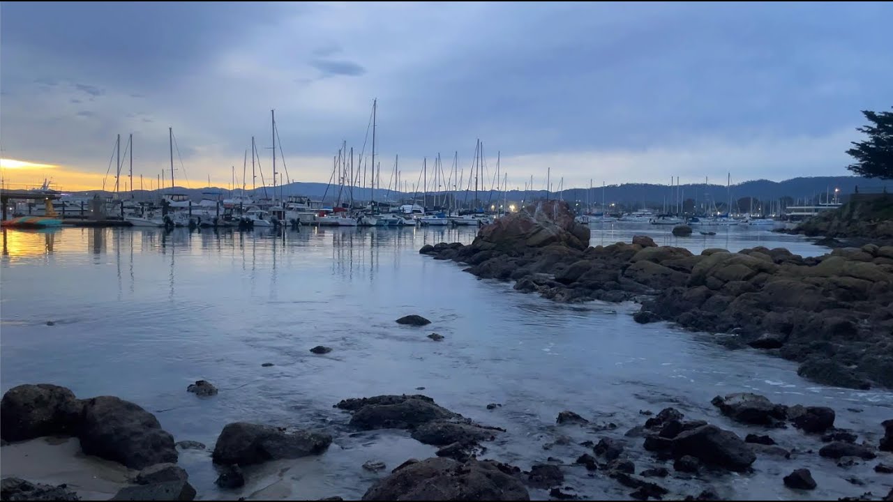 Calm Harbor at Dawn | Relaxing Morning Ocean Ambience | Monterey, California | 1 Hour | 4K