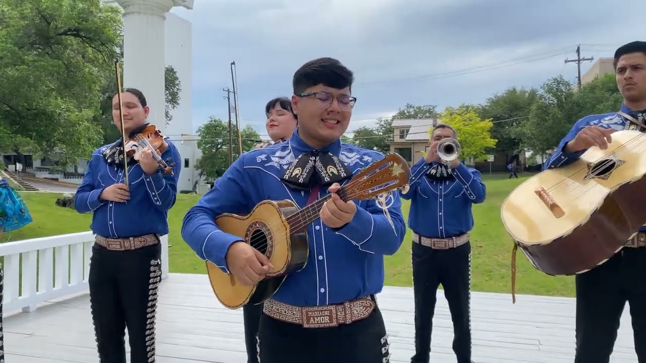 Mujeres Divinas (Vicente Fernández) - Mariachi Amor