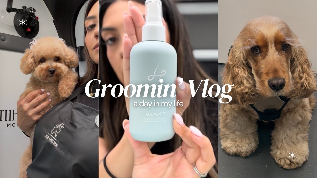 Mobile Groomer Work Day | Catch Up + Product Review 