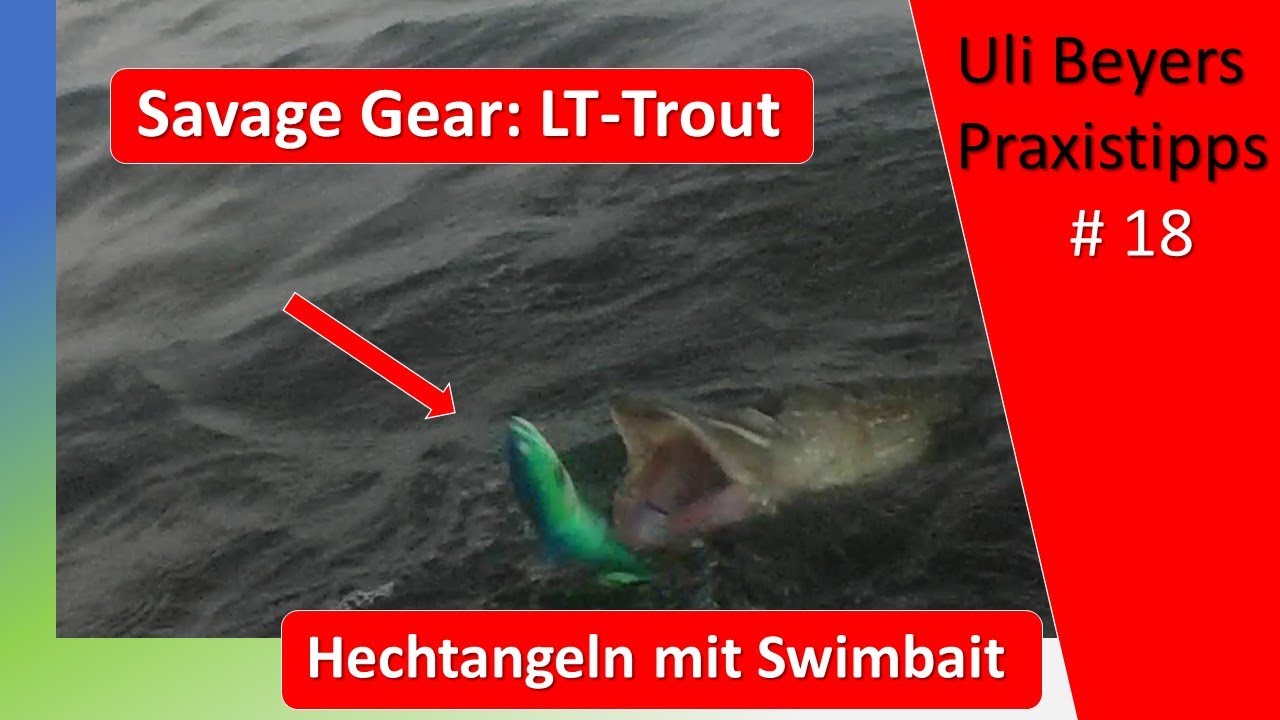 Swimbaits auf Hecht: savage gear 4d line thru trout