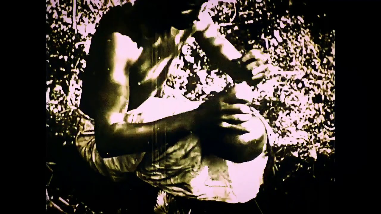 Indian Monkey Trap Story