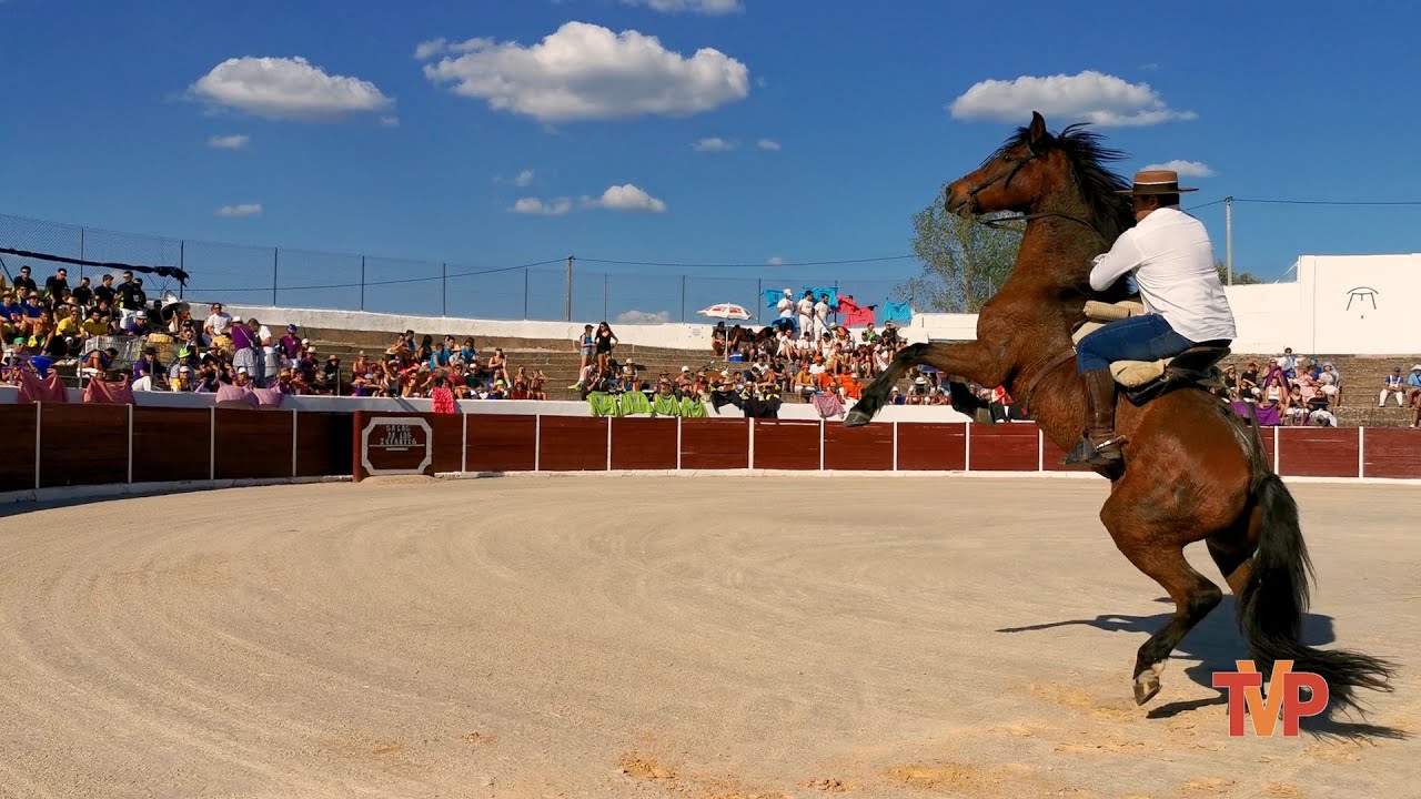 Subida de peñas a los Toros en Salas de los Infantes