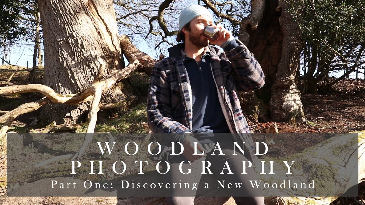 Part One - Discovering a New Ancient Oak Woodland