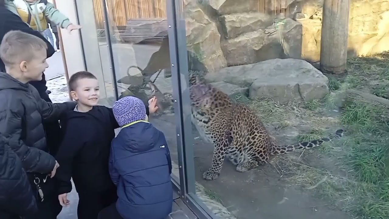 В Харьковском Зоопарке(2 часть)