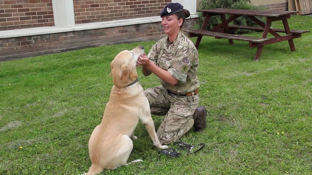 Private Rosy Jones, 1 MWD Regt RAVC