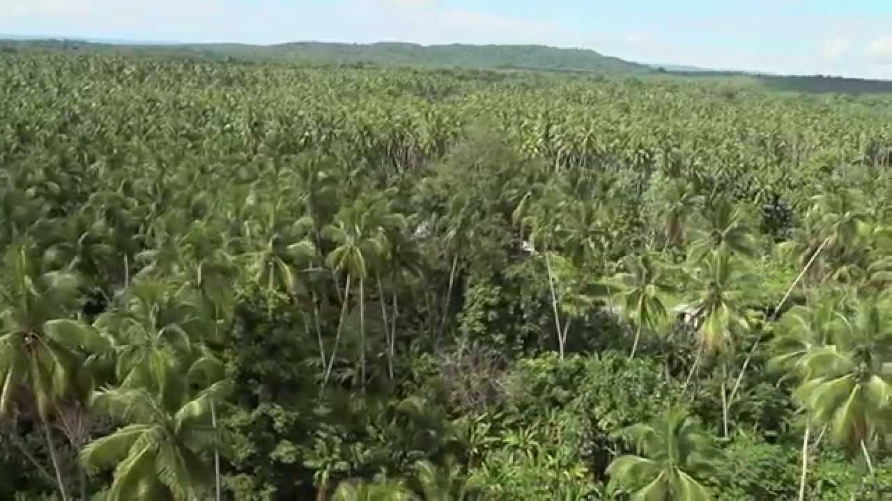 Exploring Rabaul and Kokopo