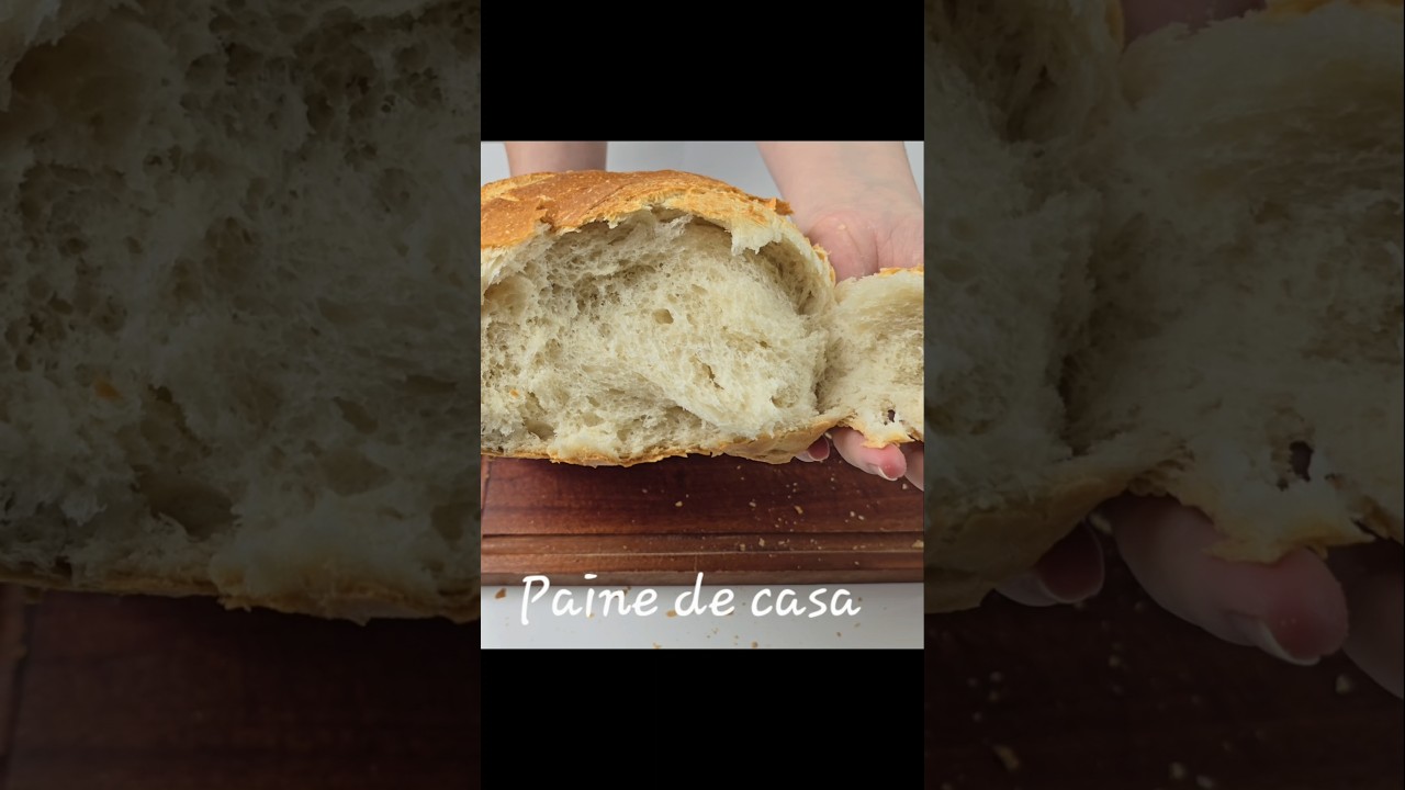 Paine de casa #shorts #paine #bread #cooking