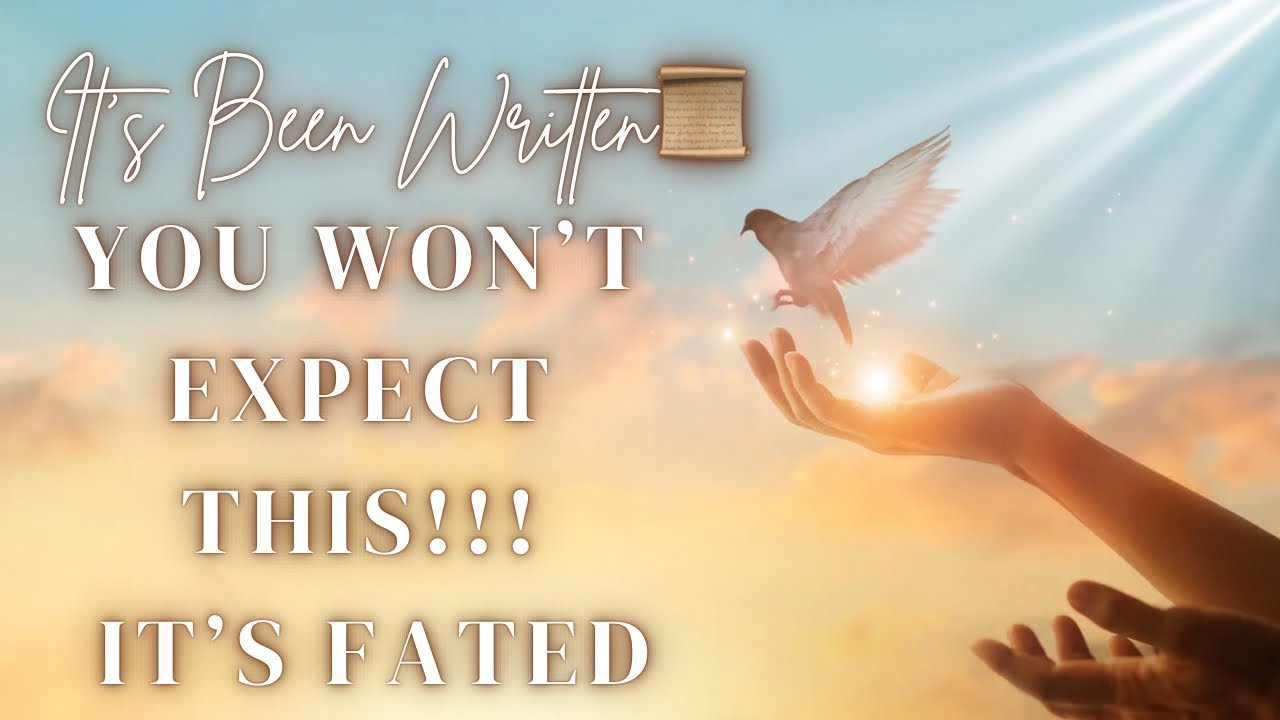 Dark Coven Is Pissed To The Highest Degree😡Can’t Change Wants Been Written For You 📜 Fated ⭐️🤩💫