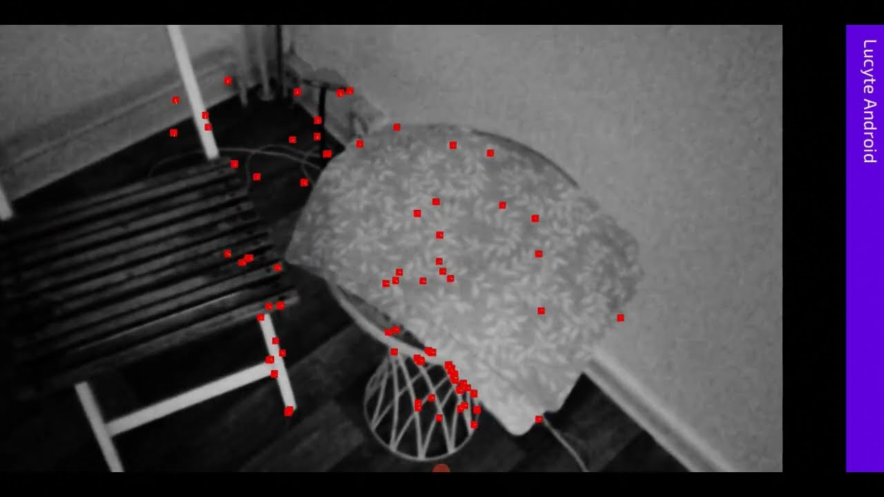 Computer Vision - Android OpenGL version of Lucyte (with sources)