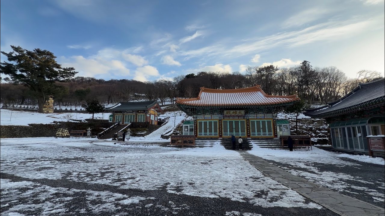 2026 白色濟州島 DAY4 (海苔博物館, 海女村, 松堂童話村, 濟州島最大庭園星巴克, (吉卜力)橡子共和國,漢拏山觀音寺)